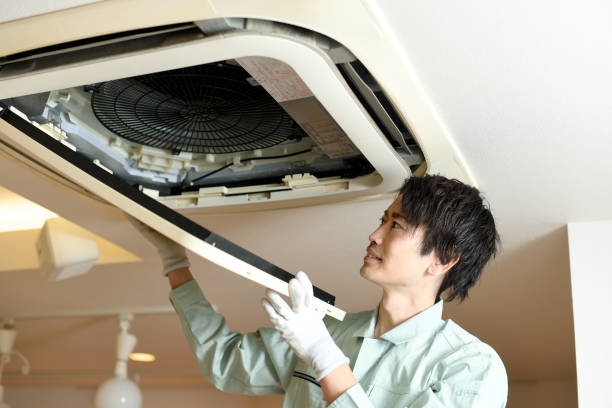 Best Affordable Duct Cleaning Services  in Harlingen, TX
